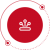 推廣實(shí)施